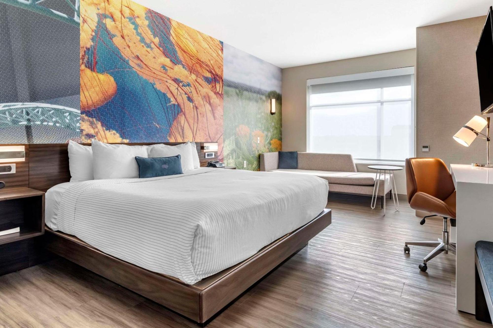 Cambria Mall Of America Minneapolis Airport Hotel Bloomington